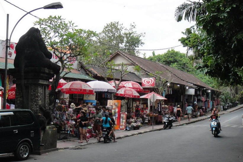 Bali, Ubud 39