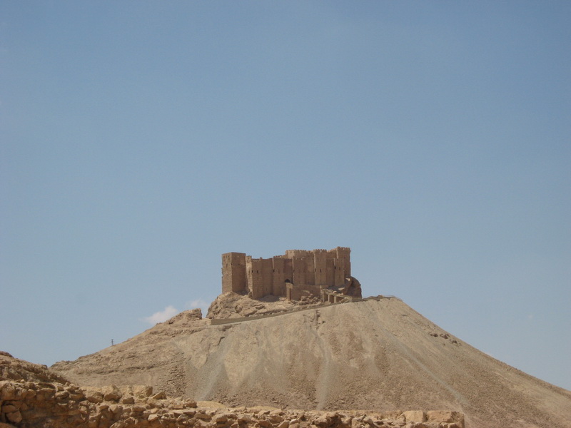Palmyra 076