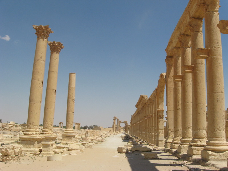 Palmyra 084