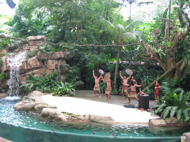 Singapore Zoo 16